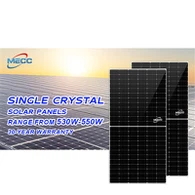 بائیفیشل مونو ماڈیول 600W